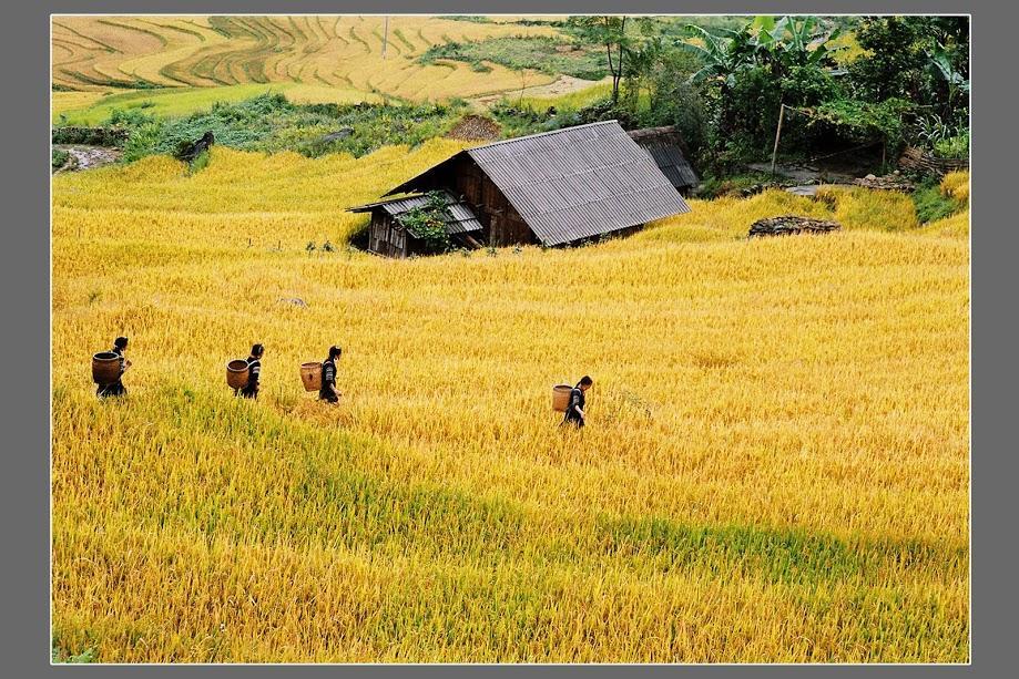Hometravel Sapa Exterior photo